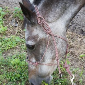 Meet your Posher, Penny